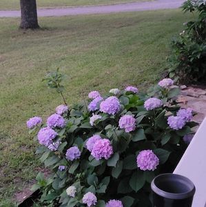 Meet your Posher, Marla